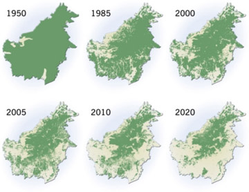 ontbossing Kalimantan